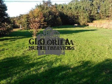 Terreno rustico in vendita a Tui