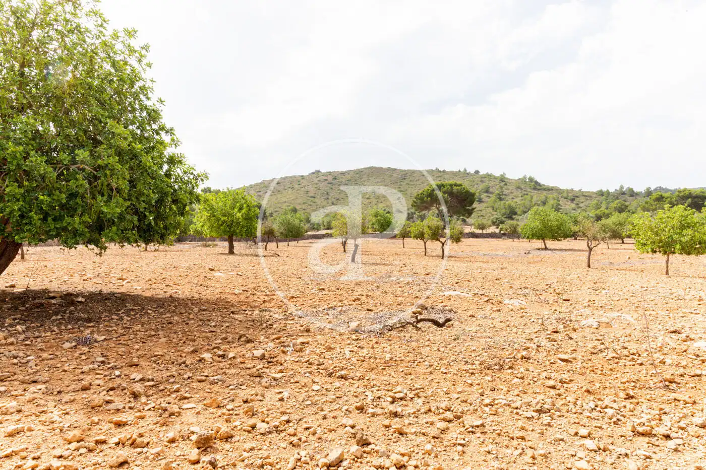 Residencial en venta en Manacor