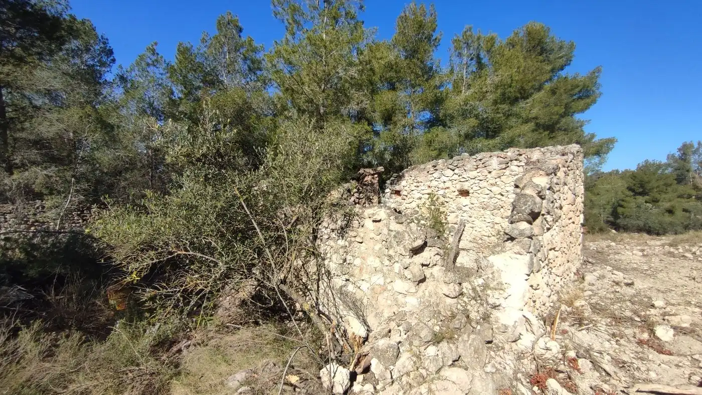 Rural land for sale in Carrer de les Pinyeres 24, imagen 11
