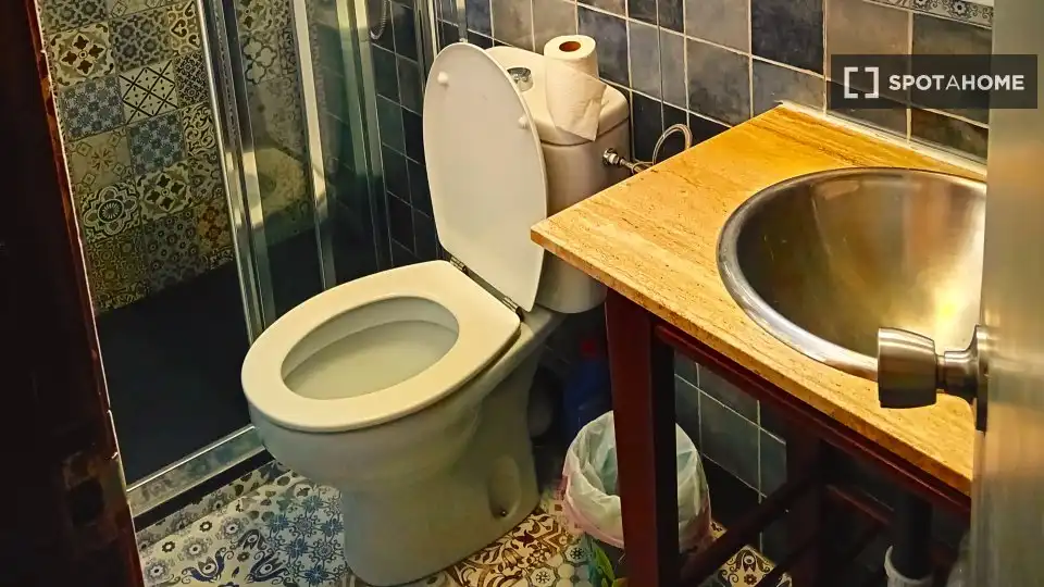 Bany de Apartament per a compartir en Madrid amb Aire condicionat, Calefacció i Terrassa
