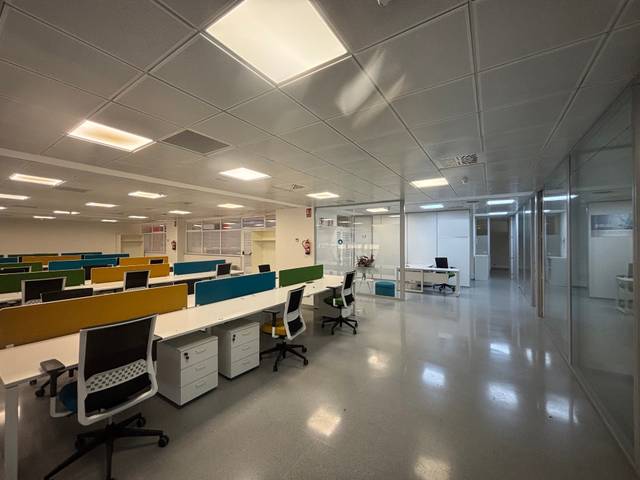 Oficina en Alquiler en Triana Oeste