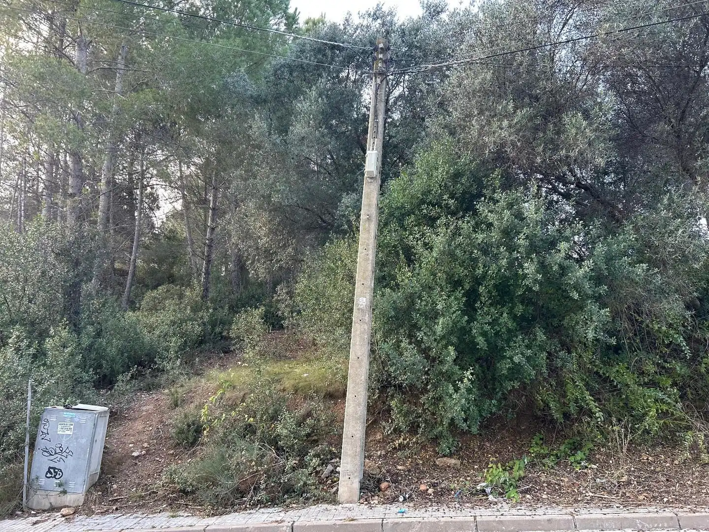 Rustikales Grundstück zum Verkauf in CAN FELIU, imagen 11