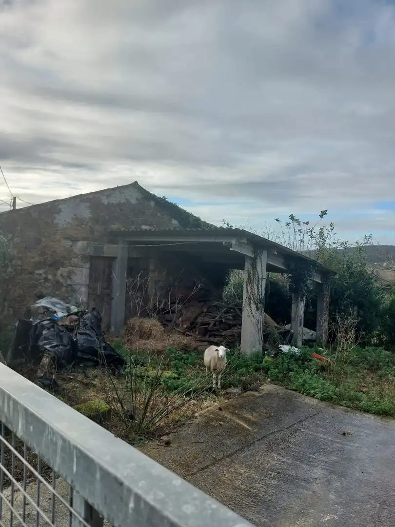 Vista exterior de Finca rústica en venda en Carballo amb Jardí privat