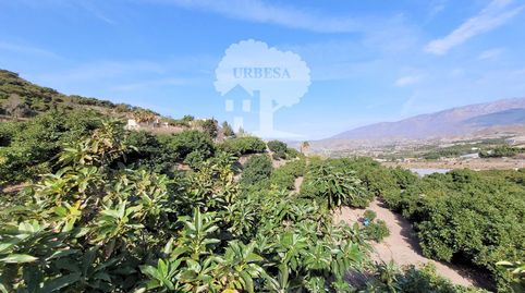 Foto 3 de Residencial en venta en Los Tablones - La Garnatilla, Motril