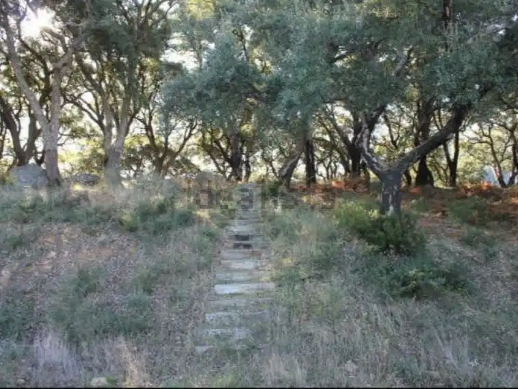 Terreno rustico in vendita a Diseminado Poligono 21 72, imagen 4
