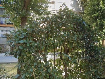 Wohnung zum Verkauf in CL ALCALA DE GUADAIRA, nº 18, Planta 0, Puerta DR