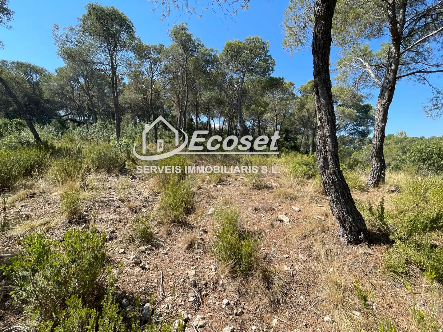 Residencial en venta en Cervelló