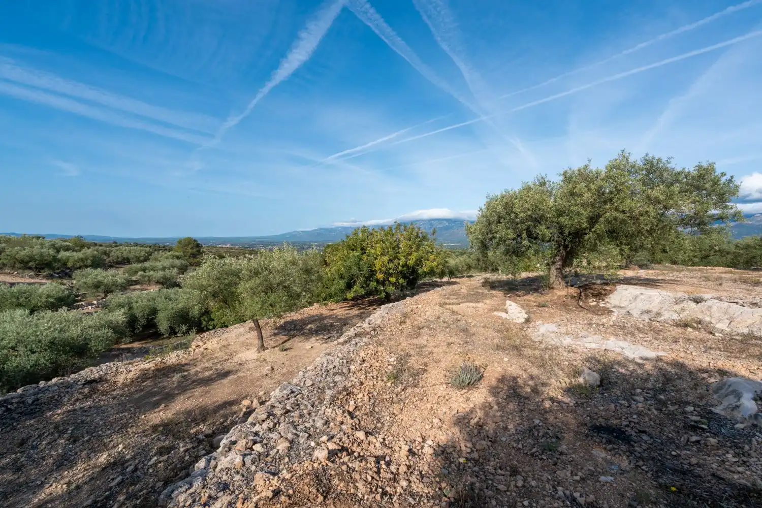 Rustikales Grundstück zum Verkauf in Carrer d'Arnau de Jardí 60, imagen 7