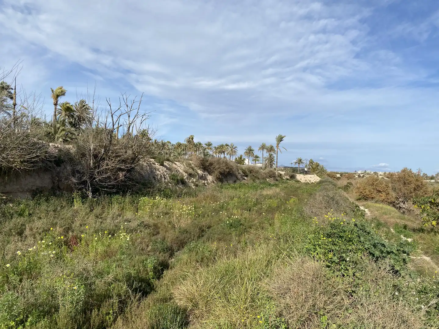 Terreno industrial en venta en Algoros, Algorós - El Derramador
