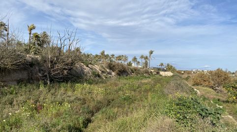 Foto 2 de Terreno industrial en venta en Algoros, Algorós - El Derramador, Elche / Elx