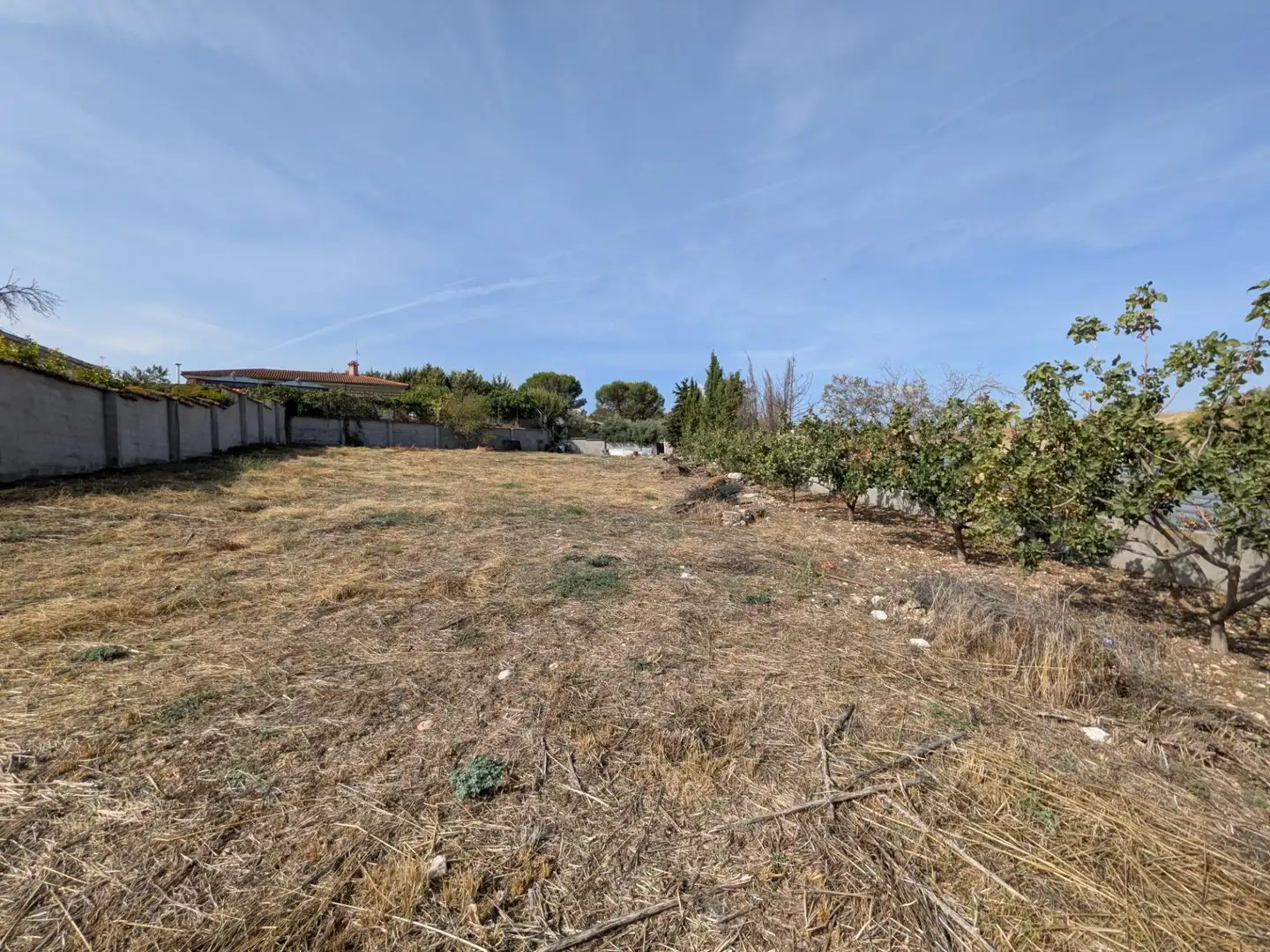 Terreny residencial en venda a Pezuela de las Torres, imagen 22