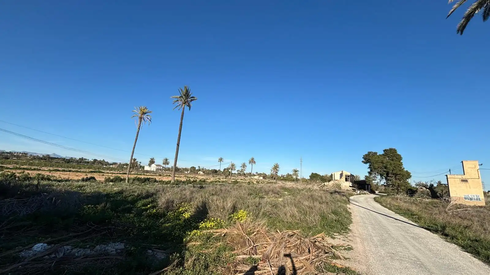 Grundstücke zum Verkauf in Elche / Elx