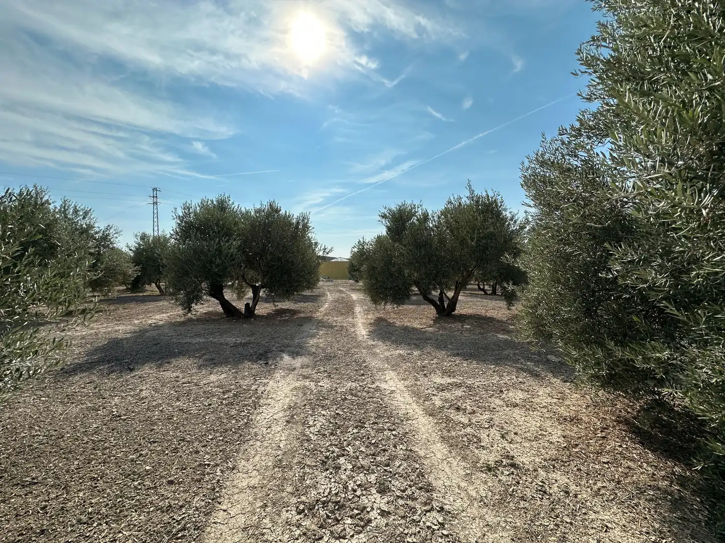 Terrenos y solares en venta en Úbeda, imagen 3