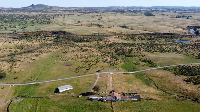 Finca rústica en Venta en Puebla de Guzmán