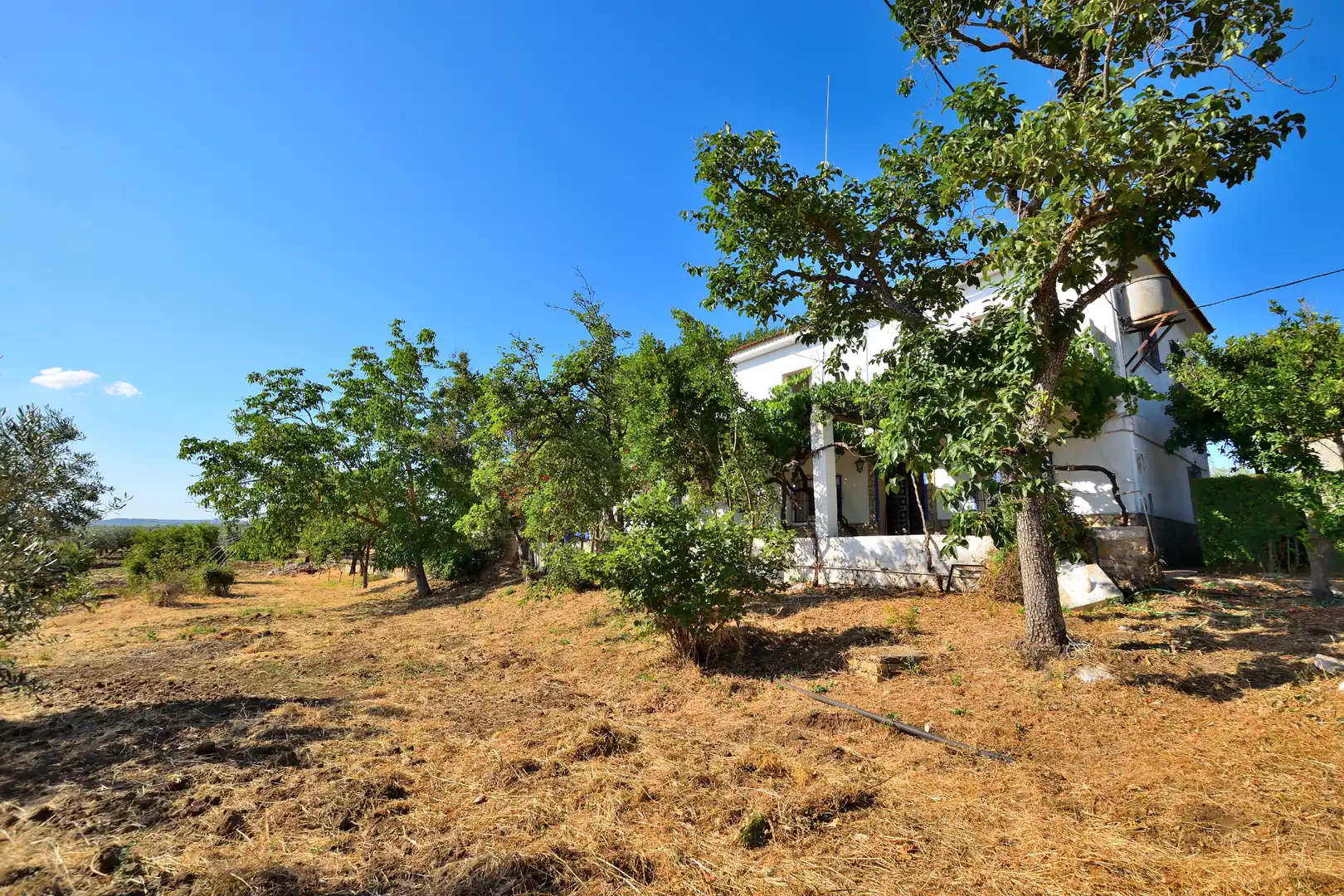 Finca rústica en venta en Setenil de las Bodegas con Jardín privado, Terraza y Trastero