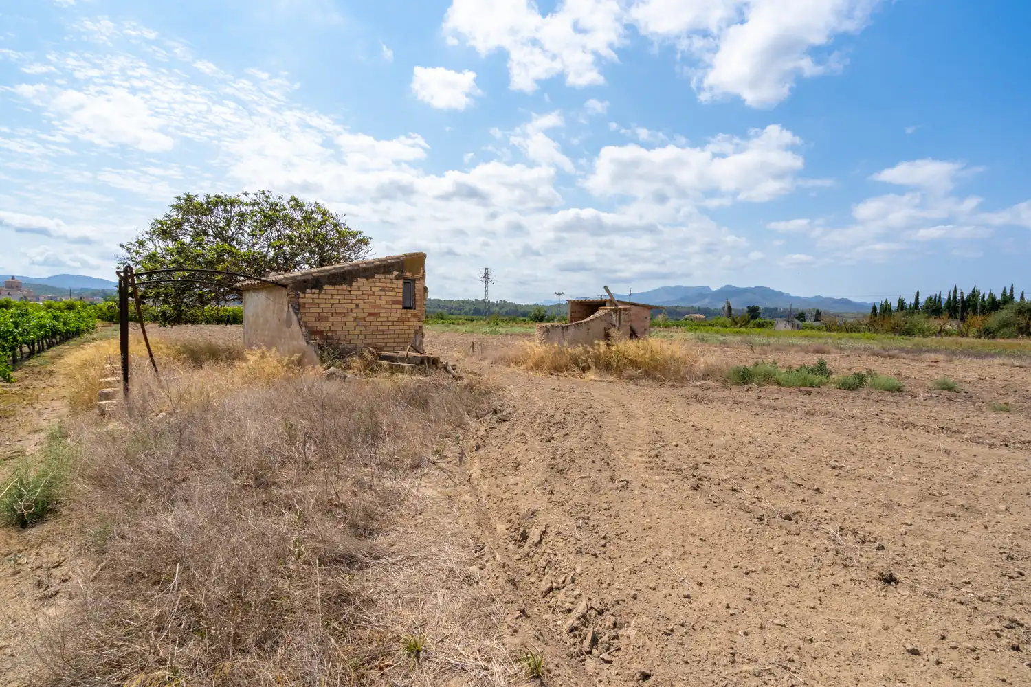 Rural land for sale in Ginestar, imagen 5