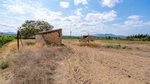 Finca rústica sin árboles con casa de campo y agua de pozo, immagine 5