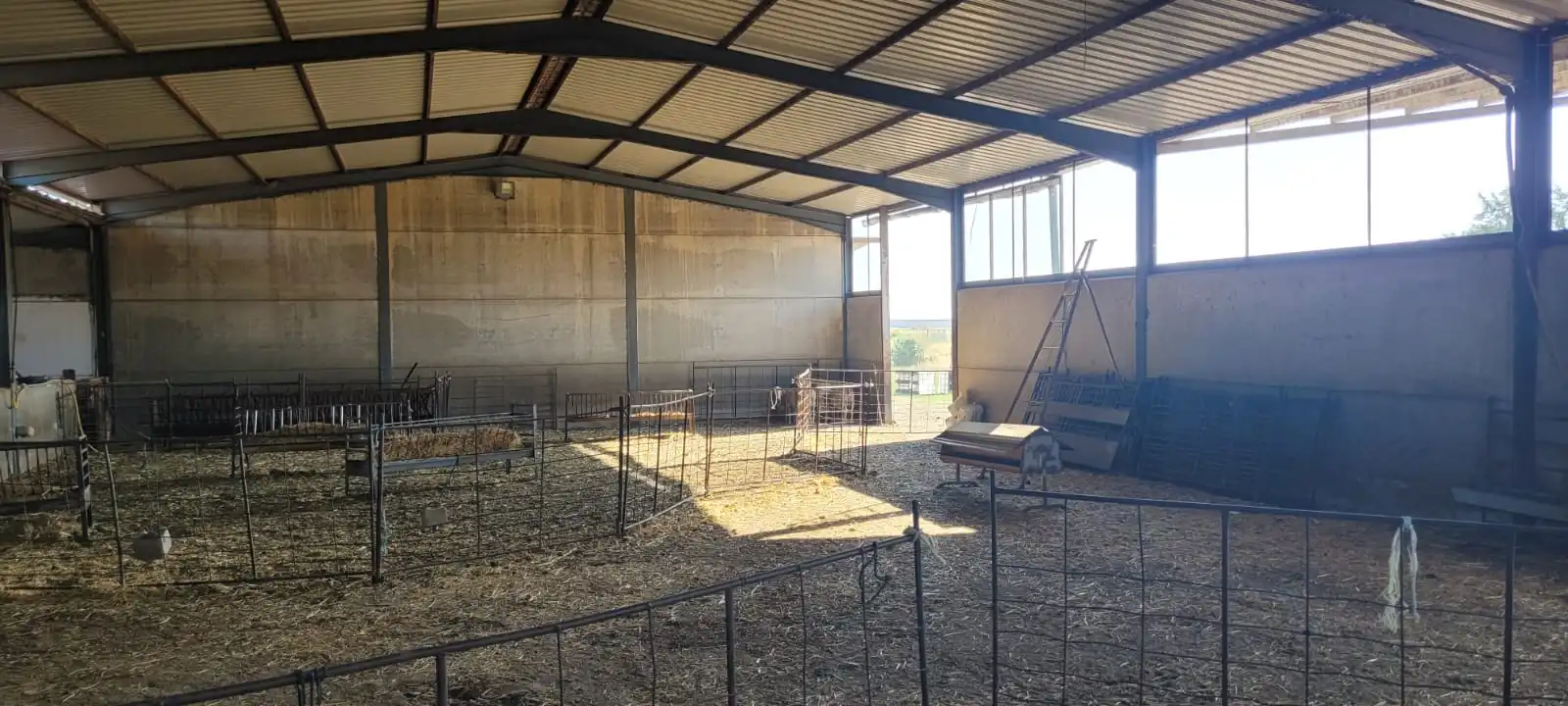 Terreni e lotti in vendita a Villanueva de la Serena, imagen 3