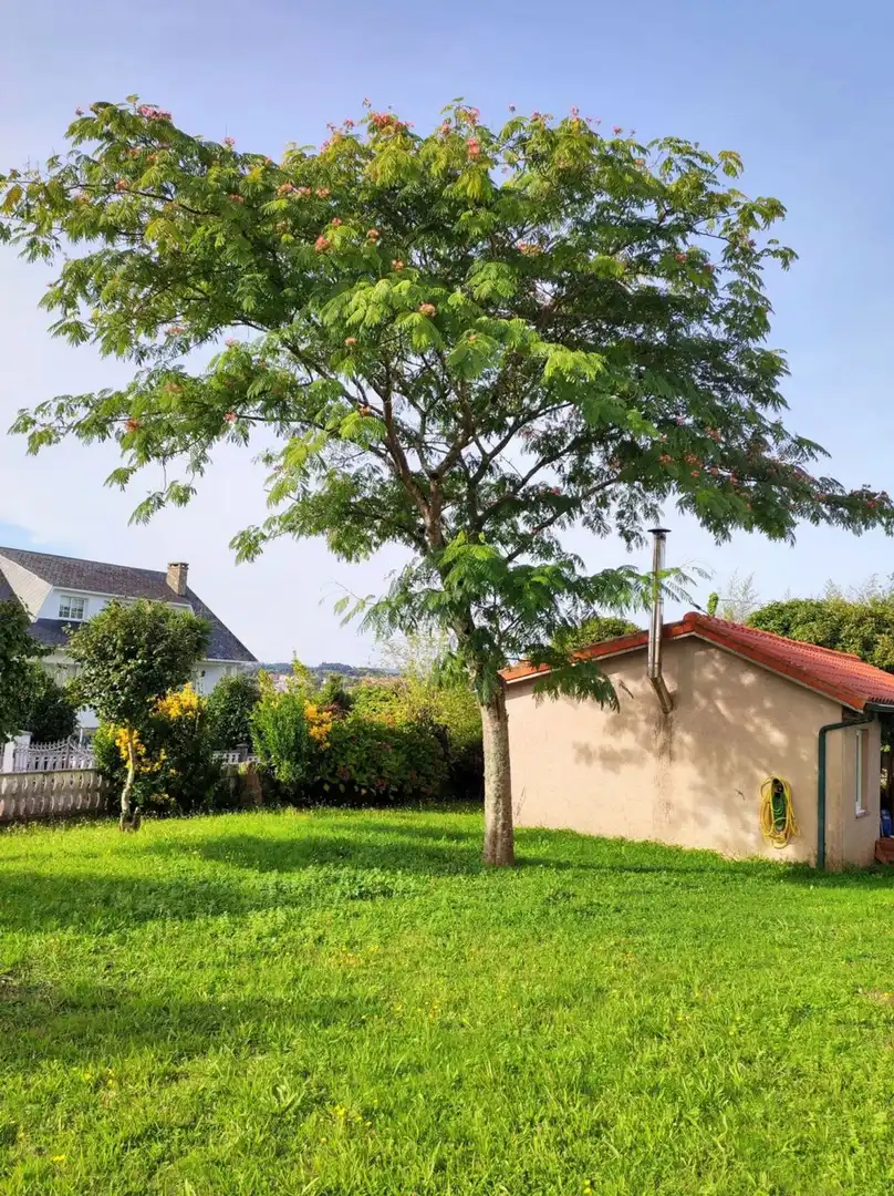 Xalet amb jardí en venda a Camino Sada Armuño, imagen 15