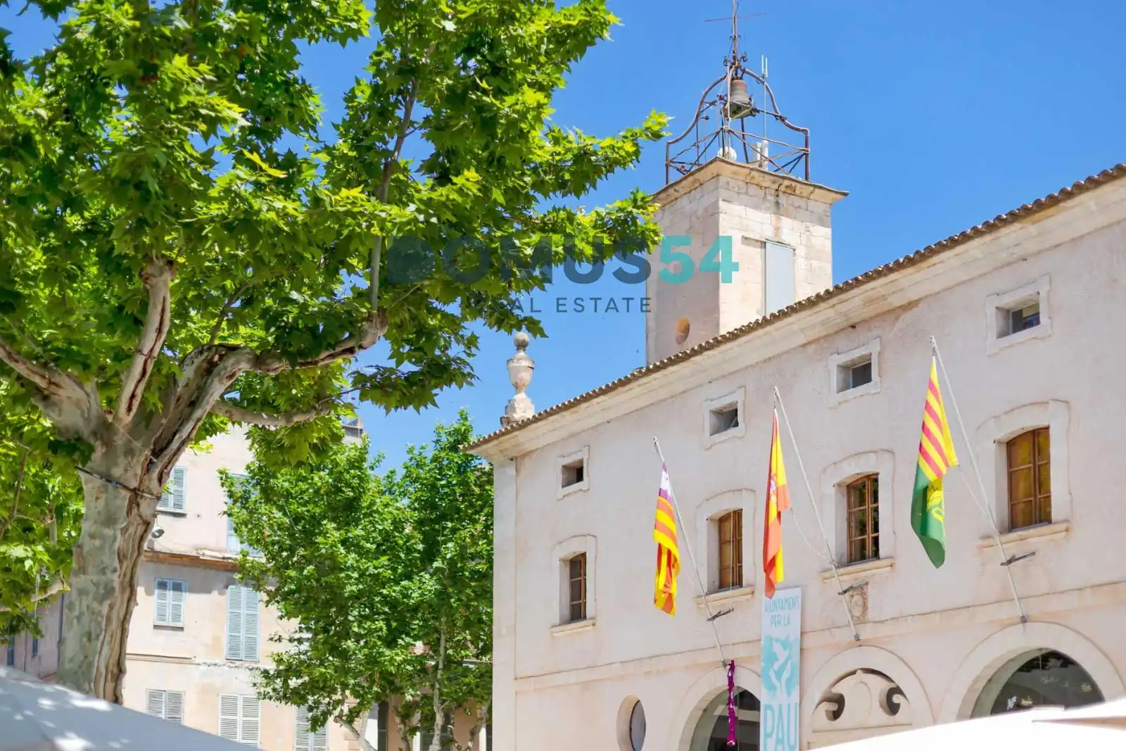 Rustikales Grundstück zum Verkauf in Sa Pobla, imagen 9