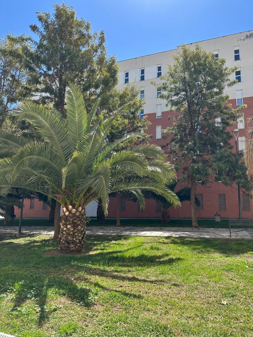 Vista exterior de Pis en venda en Badajoz Capital amb Aire condicionat