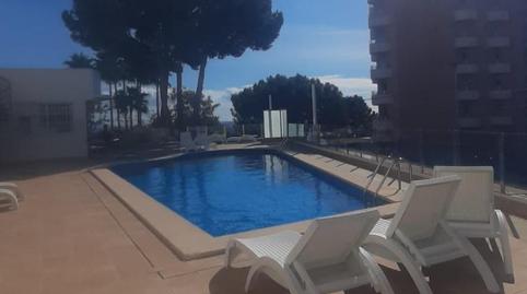 Photo 5 of Study to rent in Sant Agustí,  Palma de Mallorca