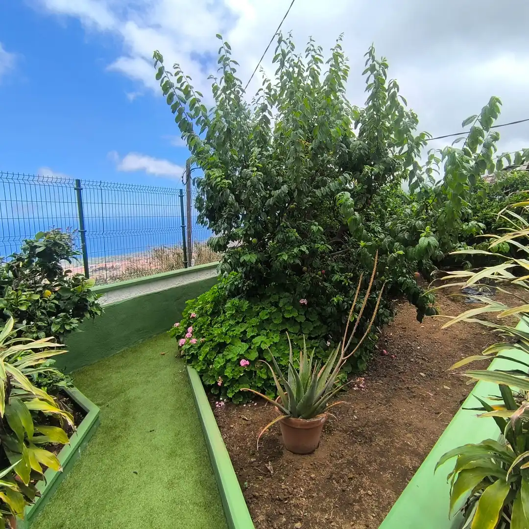 Garden of Apartments for rent in La Orotava  with Furnished