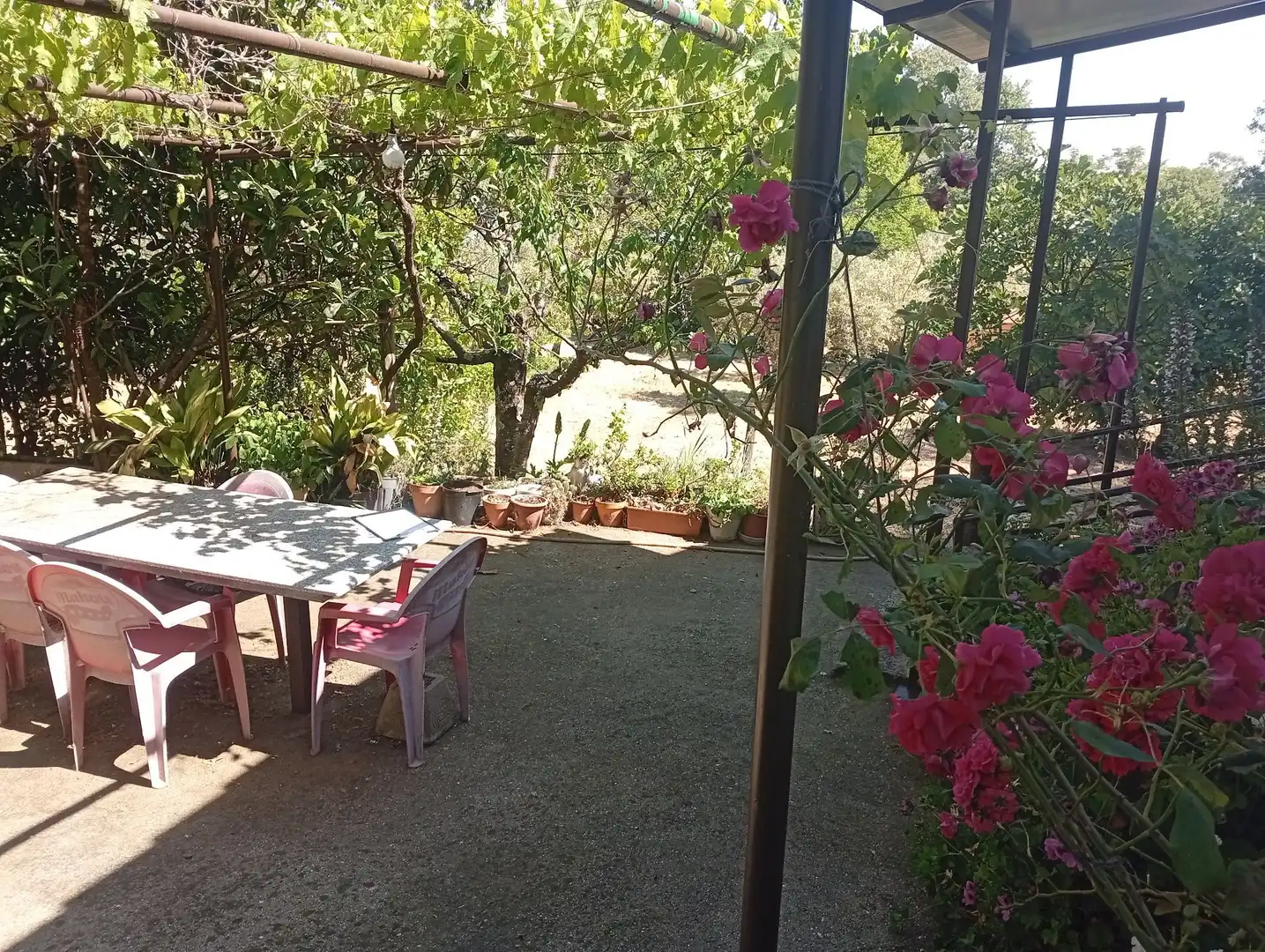 Terreni e lotti in vendita a Villanueva de la Vera, imagen 5
