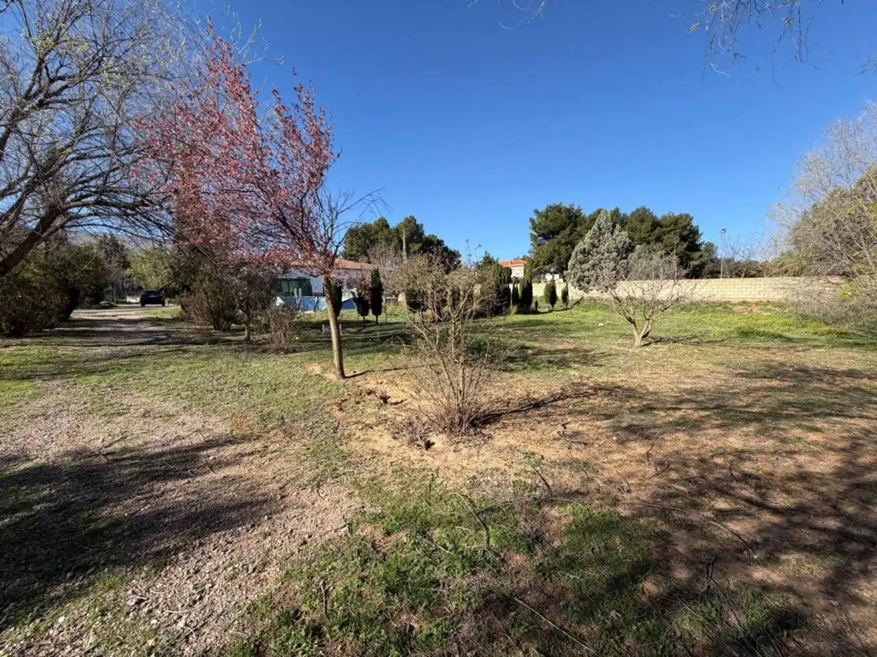 Casa o chalet en venta en Almansa con Calefacción y Jardín privado