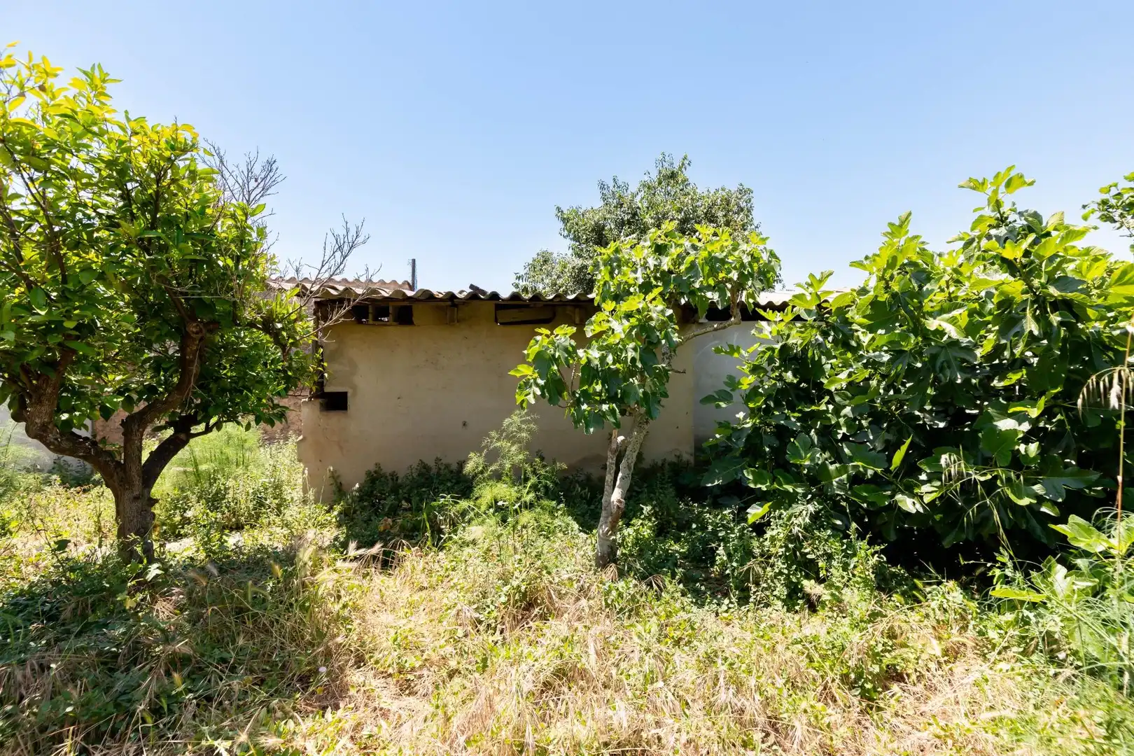 Terrenys i solars en venda a Nord, imagen 15