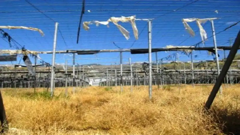 Grundstücke und Bauplätze zum Verkauf in Ugíjar, imagen 3