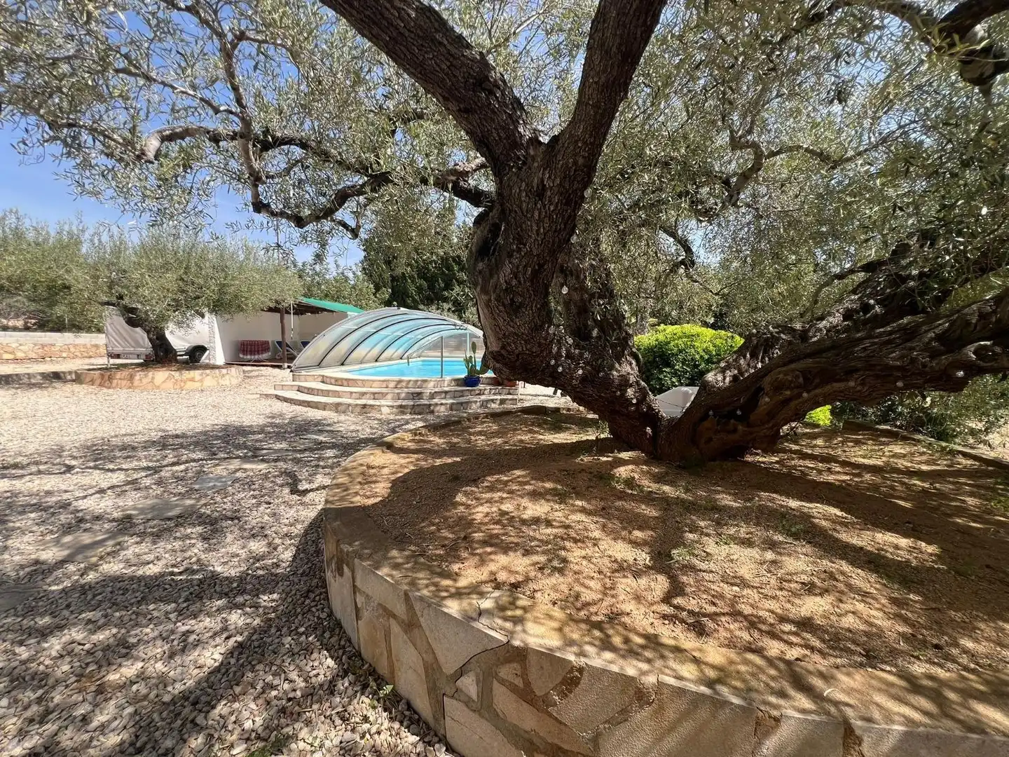 Piscina de Finca rústica en venda en L'Ampolla amb Aire condicionat, Jardí privat i Terrassa