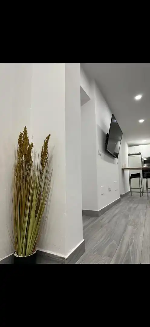 Appartement à louer à Ciudad Jardín - Tagarete - El Zapillo, imagen 4
