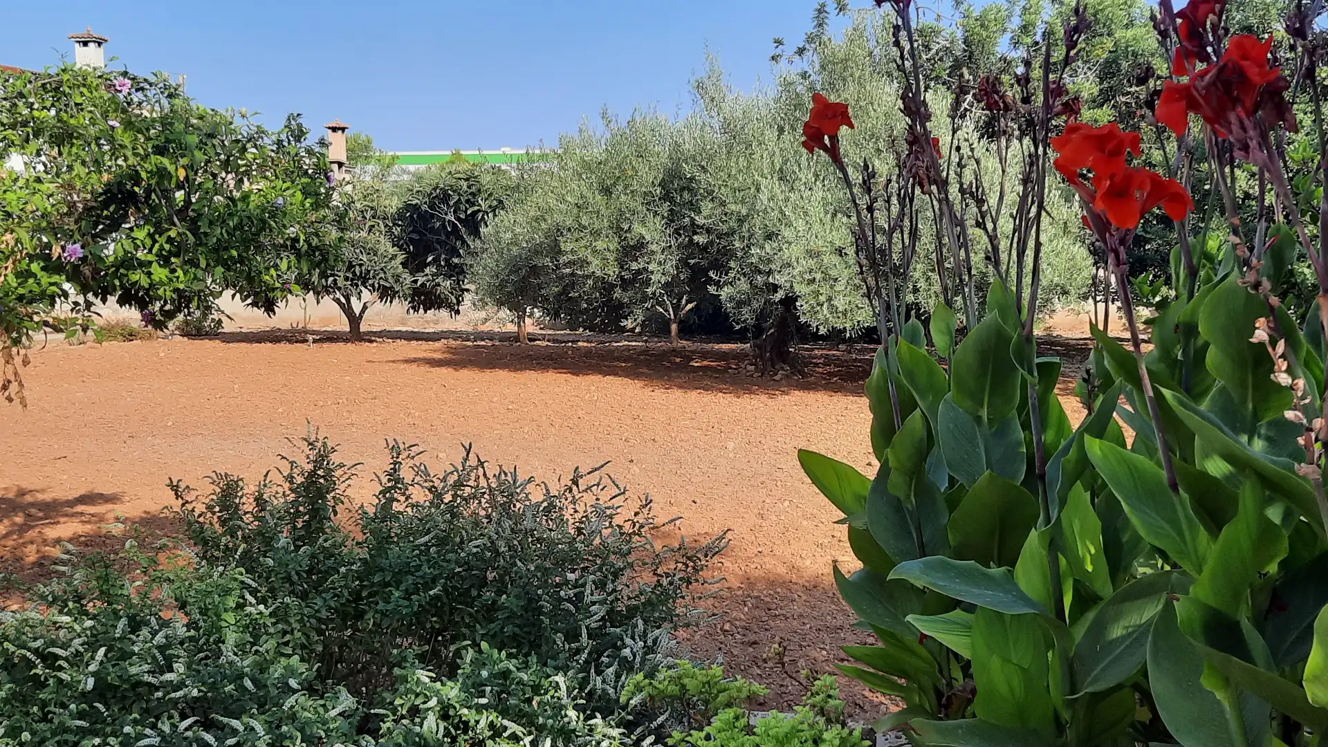 Villa avec terrasse à vendre à Les Salines, imagen 25