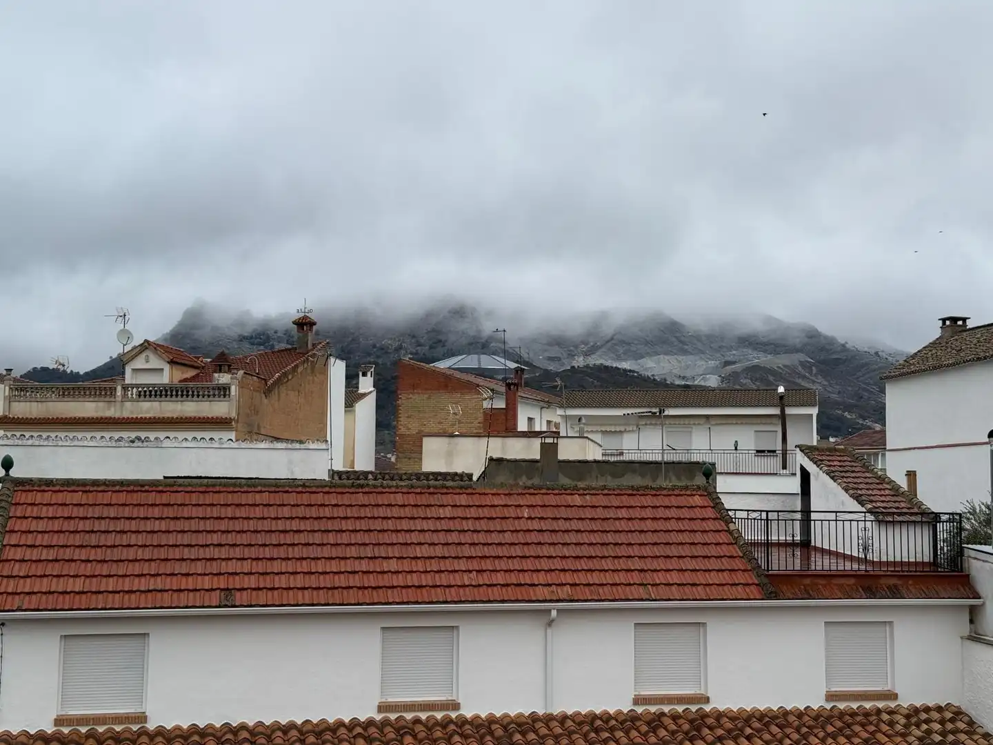 Exterior view of Houses for sale in Beas de Granada