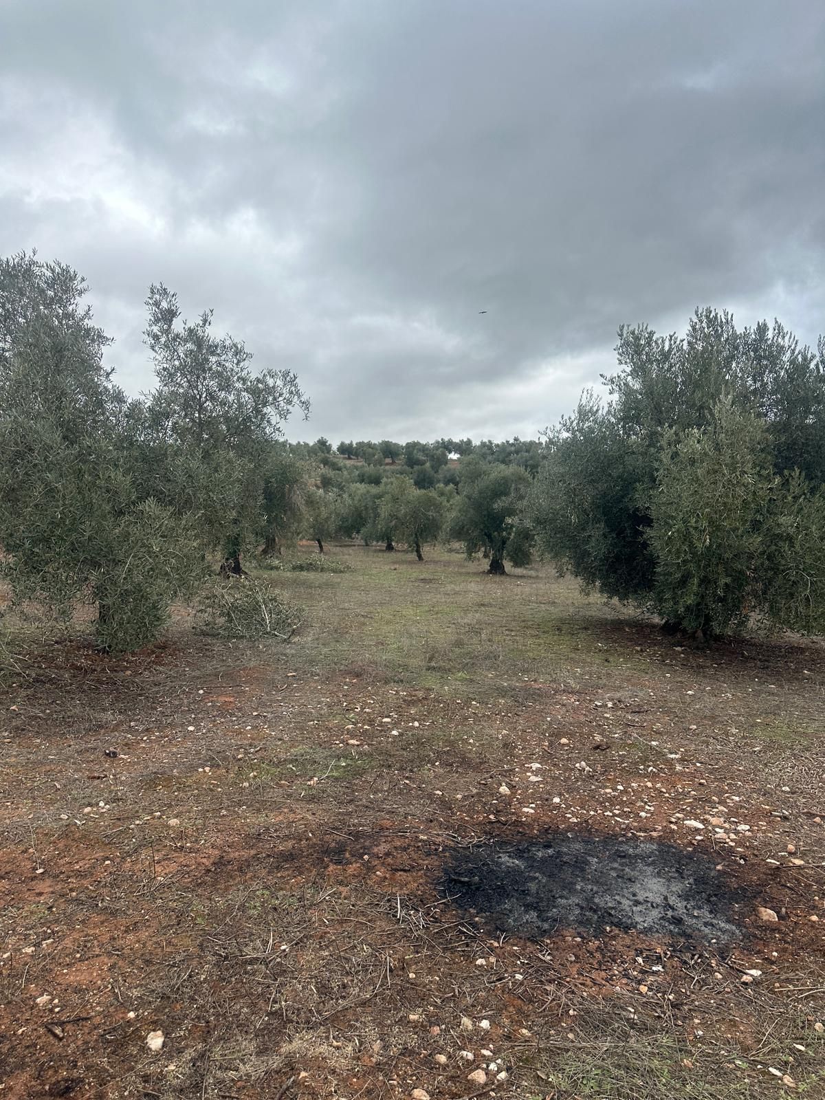 Land for sale in Cogollos de la Vega