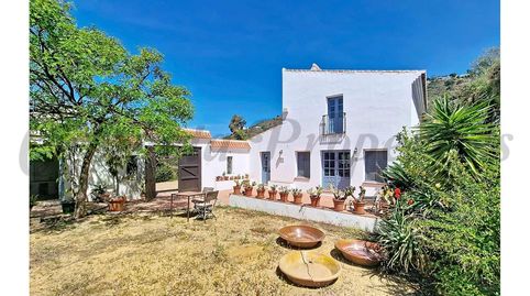 Casa de Campo en VélezMálaga, imatge 3