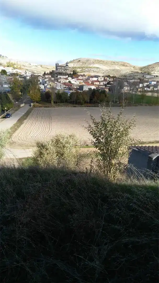 Traster en venda en Castrillo de Duero