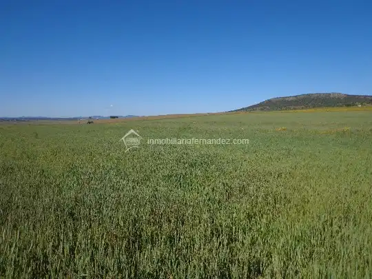 Terreni e lotti in vendita a Valdesalor - Rincón de Ballesteros, imagen 2
