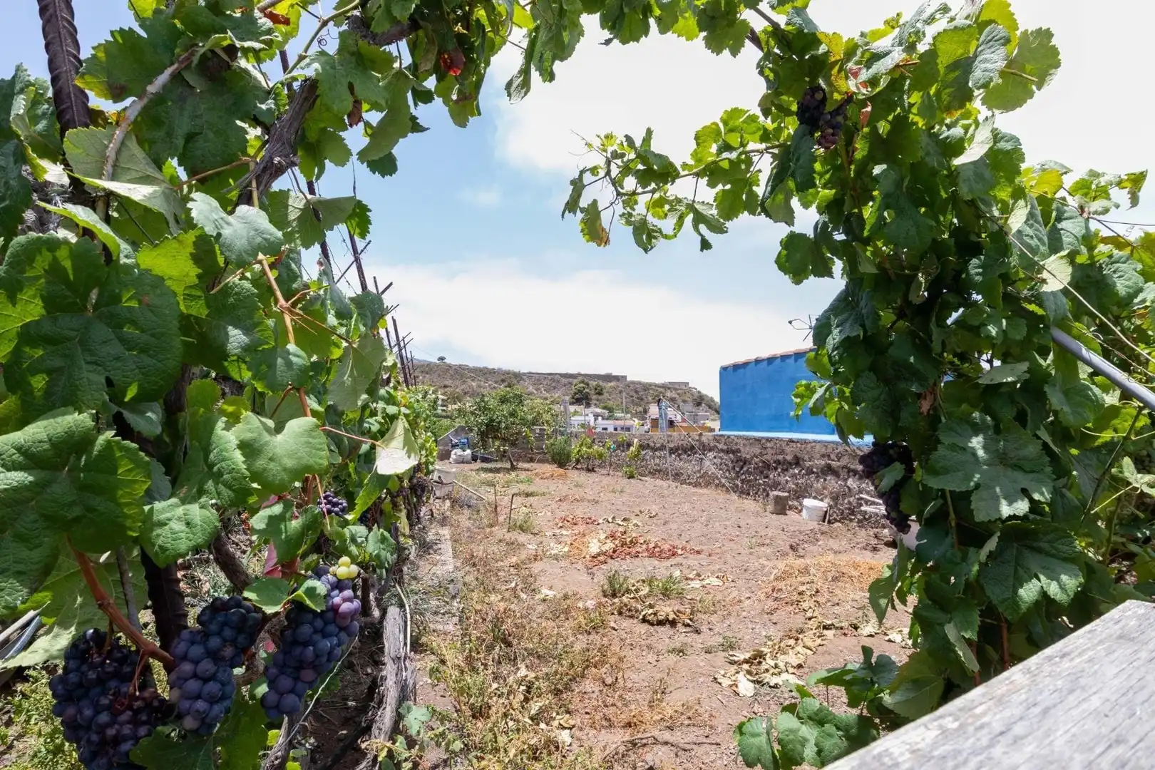 Lands and plots for sale in Calle Aceviño nº, imagen 11