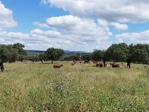 Terreni e lotti in vendita a Norte, imagen 41