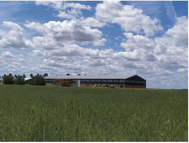 Local comercial en Venta en San Vicente del Palacio