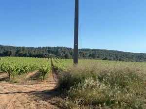 Land for sale in Bellvei