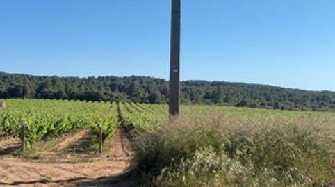 Foto 5 de Terreny en venda a Avinguda de Nostra Senyora de la Asunció, 2a, Bellvei, Tarragona