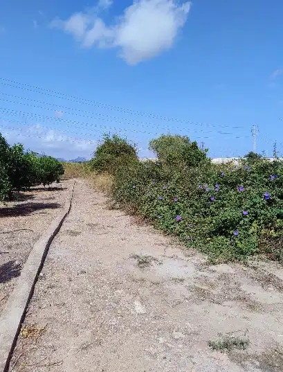 Terreno rustico in vendita a Este