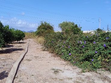 Terreno rustico in vendita a Este