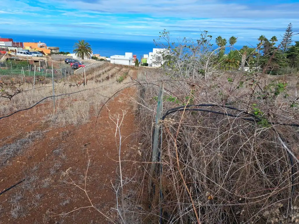 Rural land for sale in El Sauzal, imagen 36