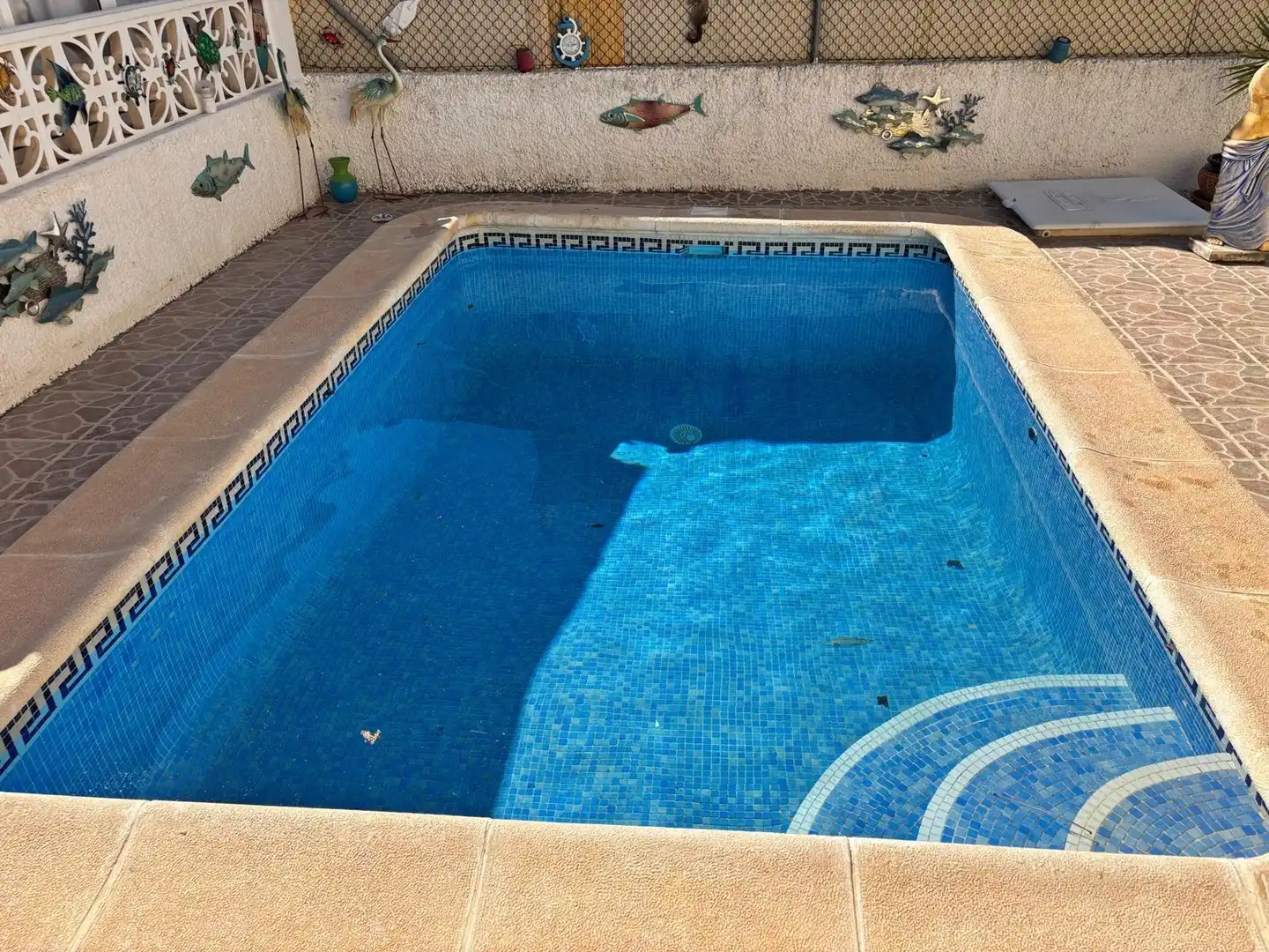 Piscina de Casa o chalet en venta en Rojales con Jardín privado, Terraza y Piscina