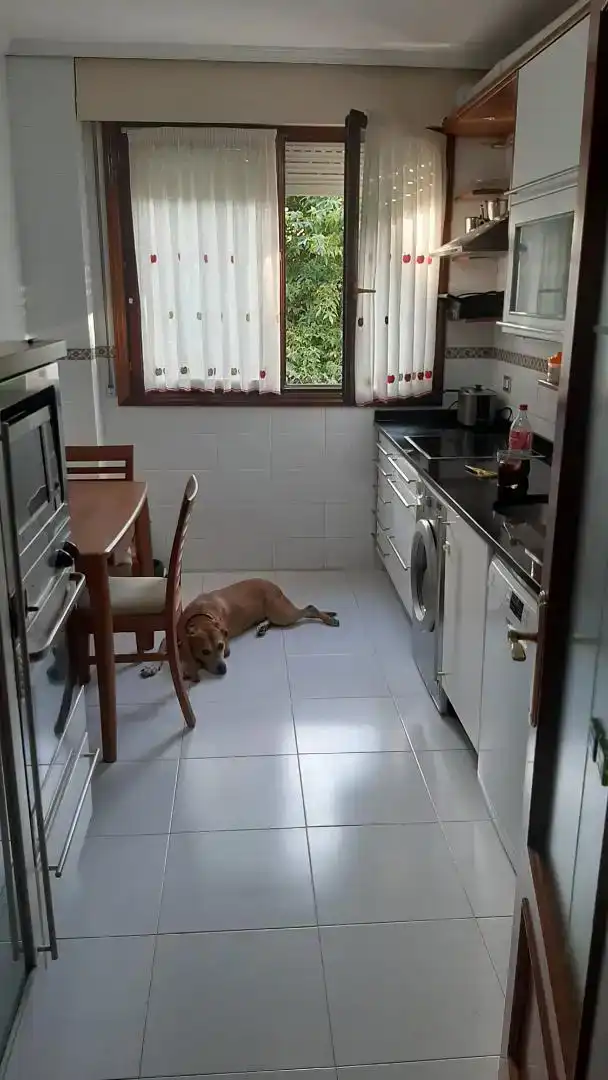 Küche von Wohnung zum Verkauf in Barakaldo 
