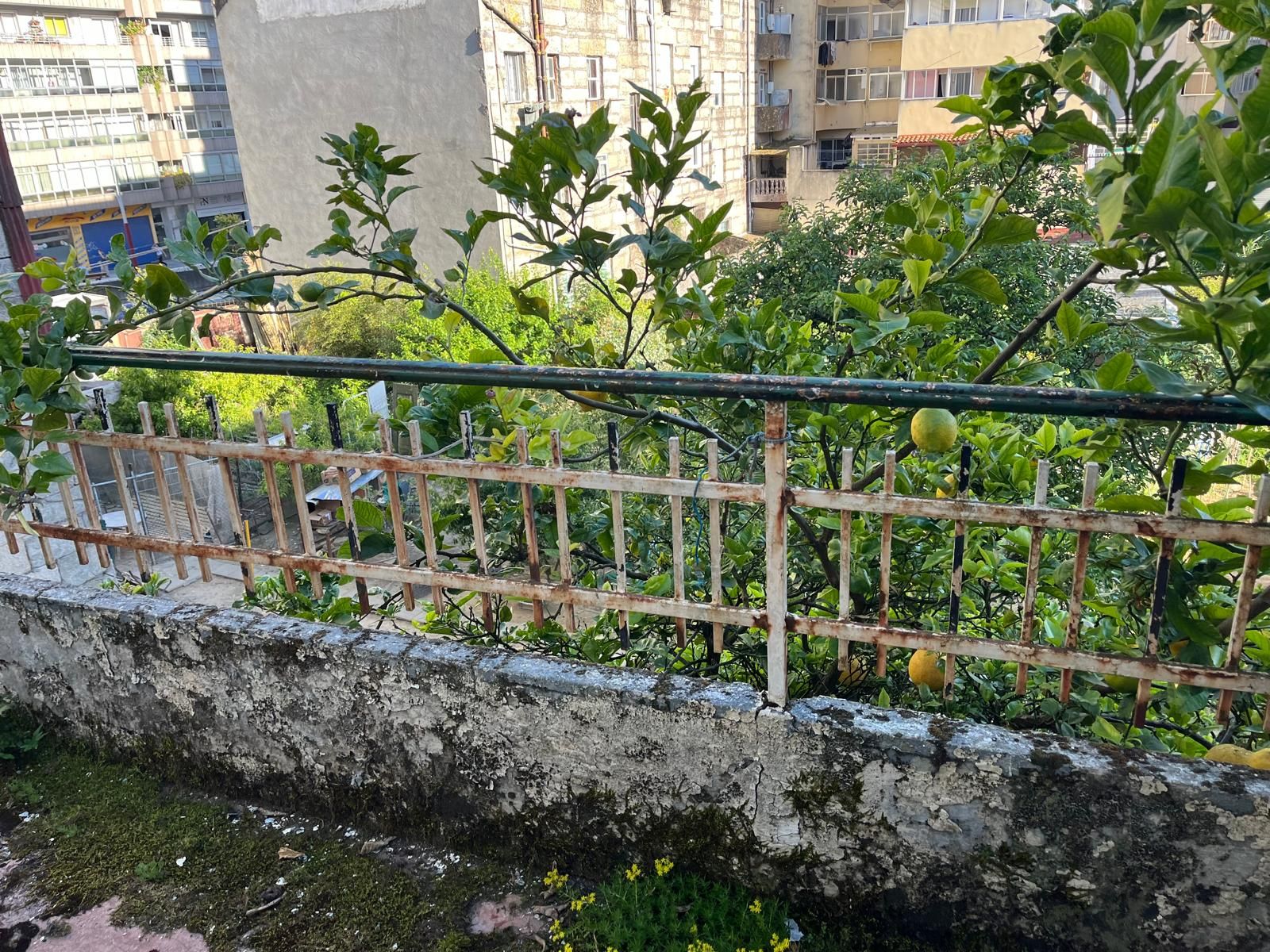 Garden of House or chalet for sale in Vigo   with Private garden, Storage room and Balcony